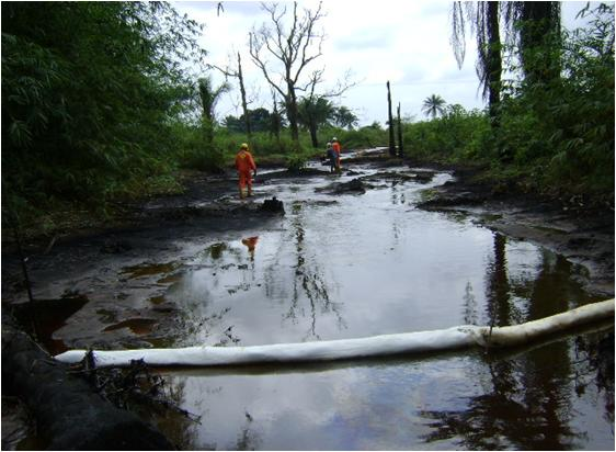 biara spill impact on stream