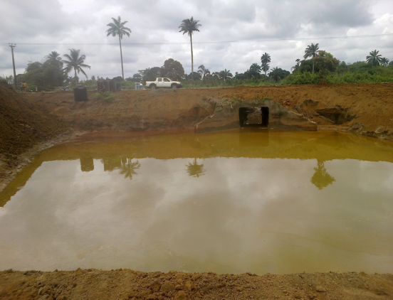 biara after skimming and treatment