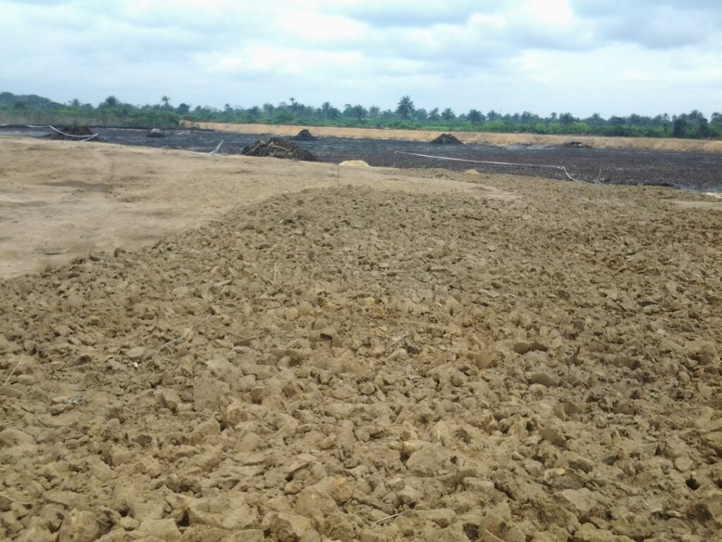 Trans escravos after