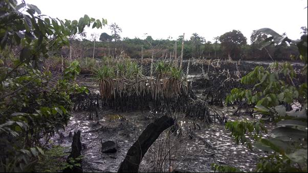 section 3 before remediation